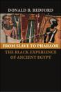 From Slave To Pharaoh - Preview