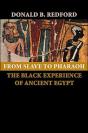 From Slave To Pharaoh - Preview