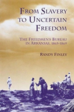 Capa do artigo From Slavery To Uncertain Freedom