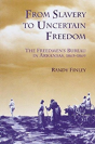 From Slavery To Uncertain Freedom - Preview