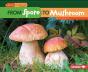From Spore To Mushroom - Preview