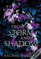 From Storm And Shadow