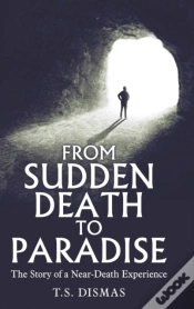 Capa do artigo From Sudden Death To Paradise