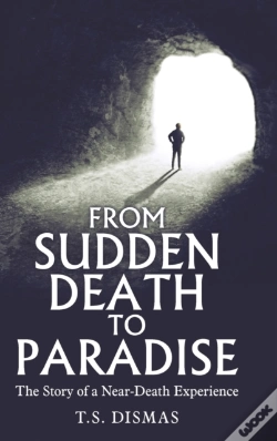 Capa do artigo From Sudden Death To Paradise