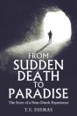 From Sudden Death To Paradise - Preview