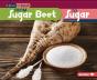 From Sugar Beet To Sugar - Preview