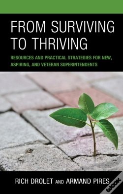 Capa do artigo From Surviving To Thriving