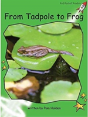 From Tadpole To Frog - Preview