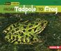 From Tadpole To Frog - Preview