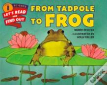 From Tadpole To Frog