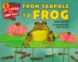 From Tadpole To Frog - Preview