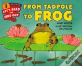 From Tadpole To Frog
