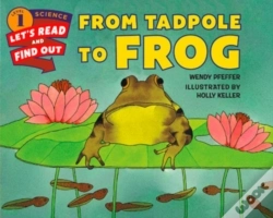 Capa do artigo From Tadpole To Frog