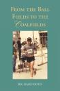 From The Ballfields To The Coalfields - Preview