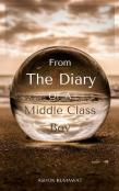 From The Diary Of A Middle Class Boy