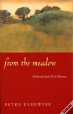 Capa do artigo From The Meadow
