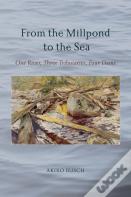 From The Millpond To The Sea