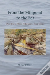 From The Millpond To The Sea