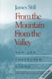 Capa do artigo From The Mountain, From The Valley