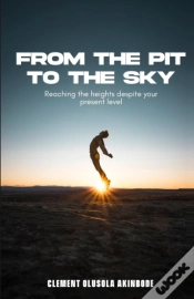 Capa do artigo From The Pit To The Sky