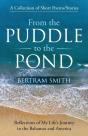 From The Puddle To The Pond - Preview