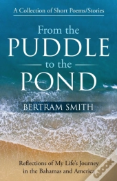 From The Puddle To The Pond