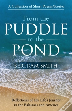 Capa do artigo From The Puddle To The Pond