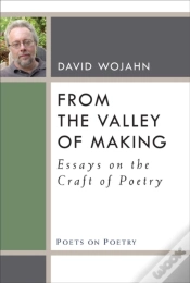 Capa do artigo From The Valley Of Making
