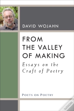 Capa do artigo From The Valley Of Making