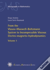 Capa do artigo From The Vlasov-Maxwell-Boltzmann System