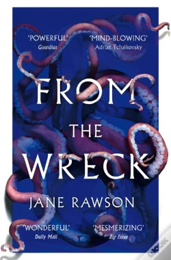 Capa do artigo From The Wreck