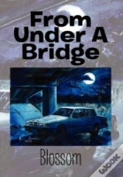 Capa do artigo From Under A Bridge