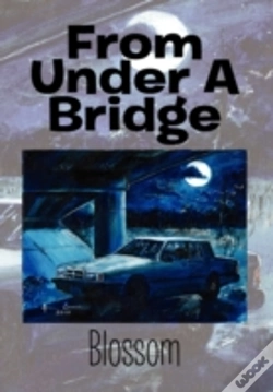 Capa do artigo From Under A Bridge