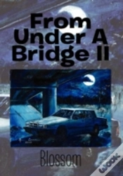 Capa do artigo From Under A Bridge Ii