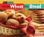 From Wheat To Bread - Preview