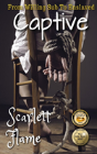 From Willing Sub To Enslaved Captive - Preview