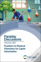 Frontiers In Physical Chemistry For Lignin Valorisation