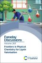 Frontiers In Physical Chemistry For Lignin Valorisation - Preview