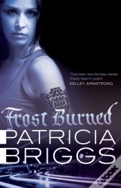 Capa do artigo Frost Burned
