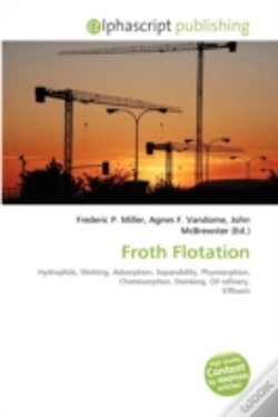 Capa do artigo Froth Flotation