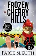 Frozen In Cherry Hills