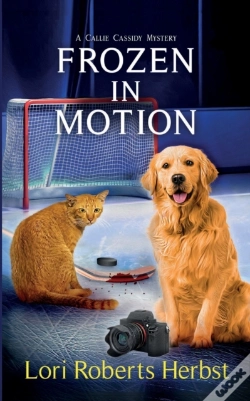 Capa do artigo Frozen In Motion