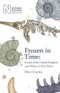 Frozen In Time - Preview