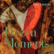 Capa do artigo Frozen Moments - CD
