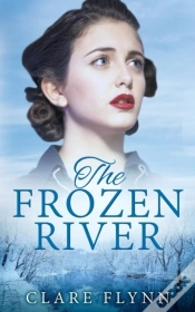 Capa do artigo Frozen River