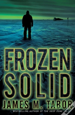 Capa do artigo Frozen Solid: A Novel