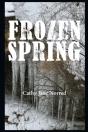 Frozen Spring - Preview