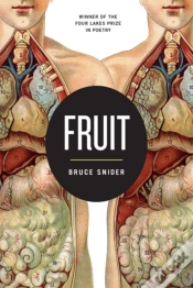 Capa do artigo Fruit