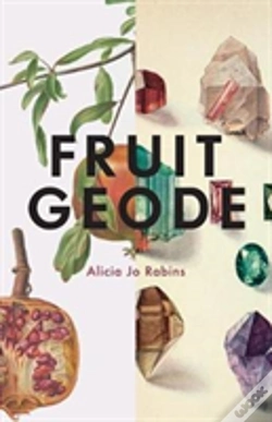 Capa do artigo Fruit Geode