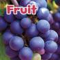 Fruit - Preview